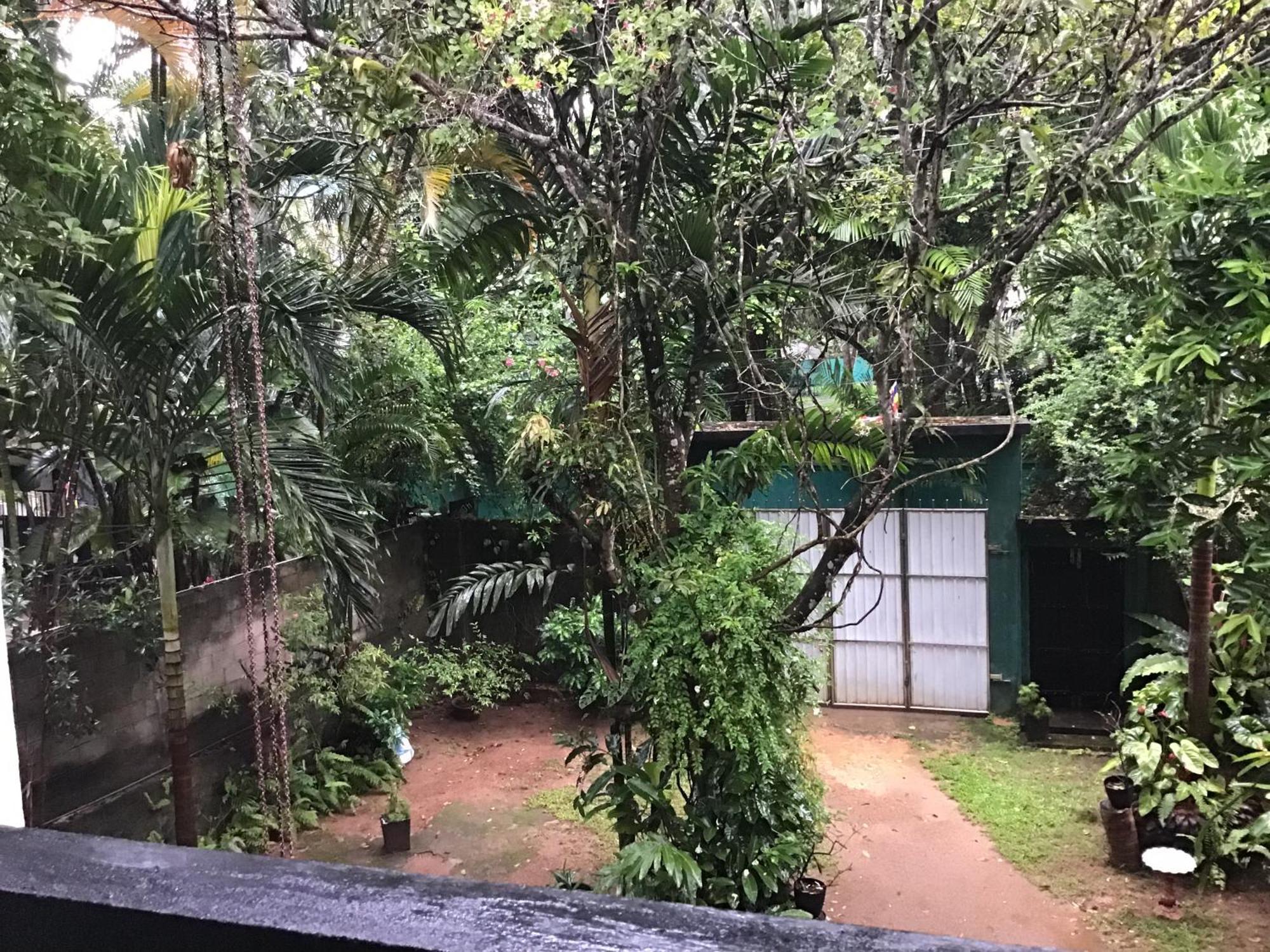 Sanjeehome & Lanka Ayurveda, Bentota Ngoại thất bức ảnh